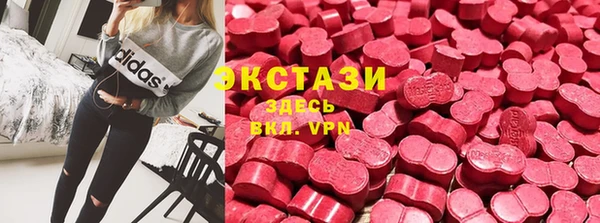 ECSTASY Богородицк